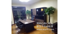 恭贺郑州心连心花卉租赁与河南仟瑞置业有限公司牵手成功！