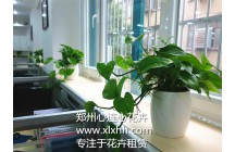 郑州心连心成功牵手郑州尚古文化有限公司！